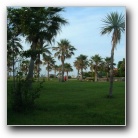 [Click to enlarge image]