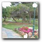 [Click to enlarge image]